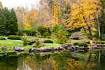Japanese Garden - Dawes Arboretum